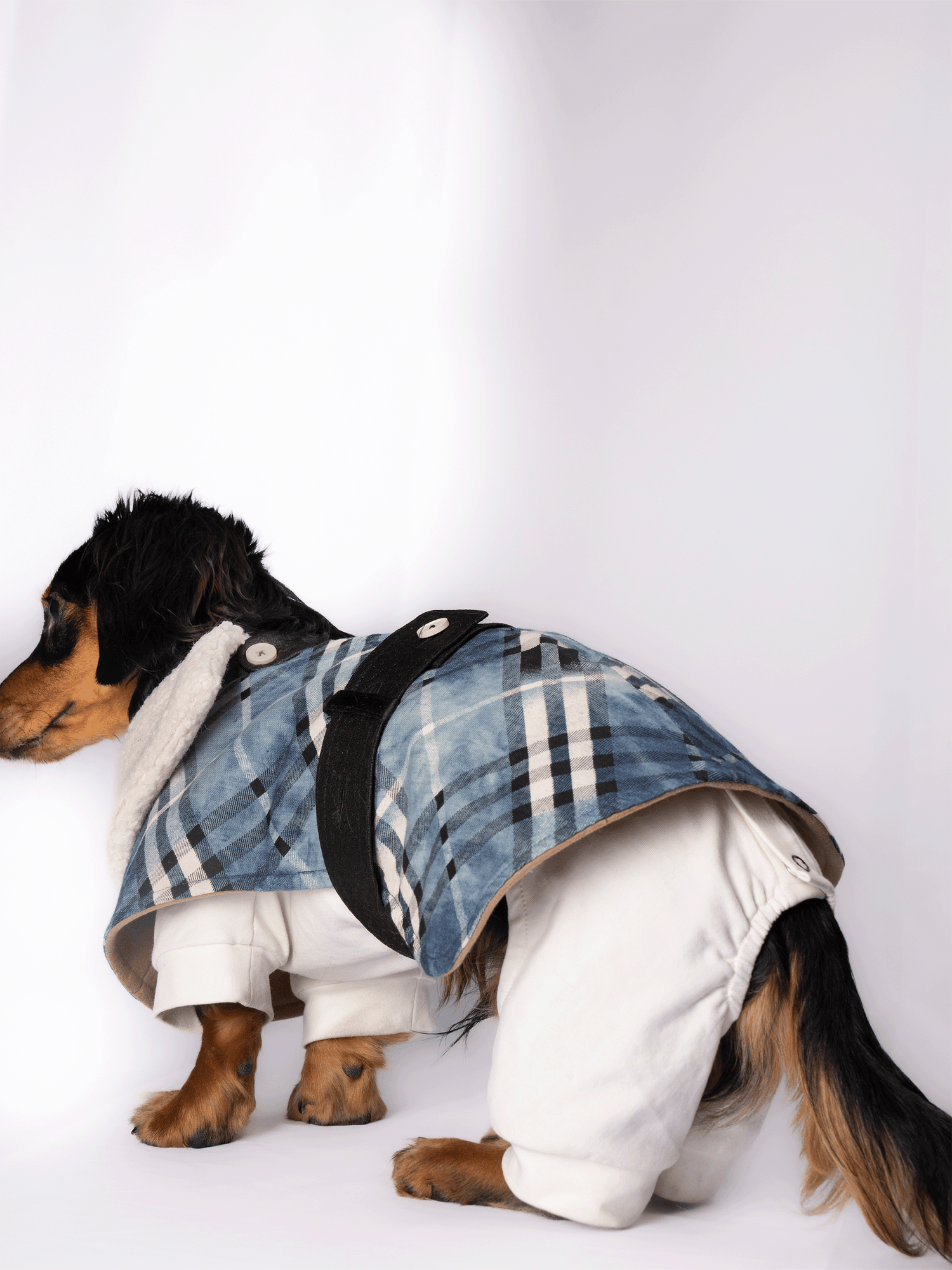 Dog Jackets